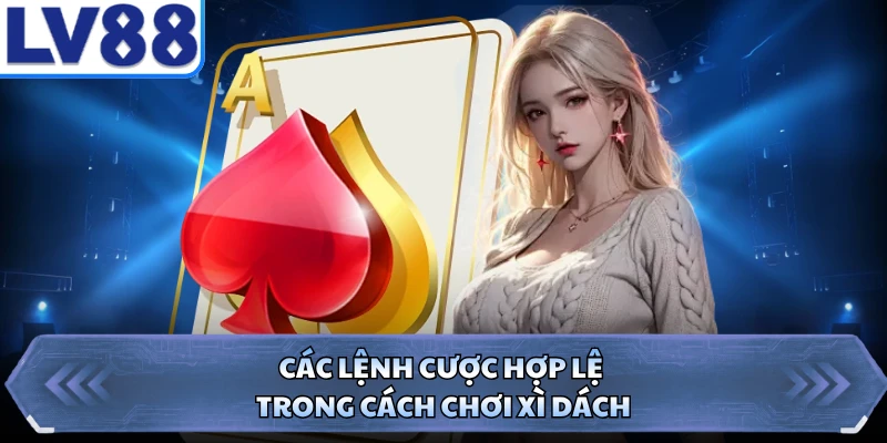 Các lệnh cược hợp lệ trong cách chơi xì dách